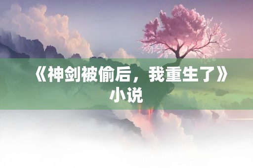 《神剑被偷后，我重生了》小说