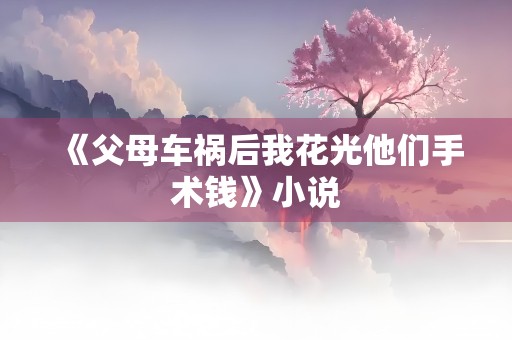 《父母车祸后我花光他们手术钱》小说