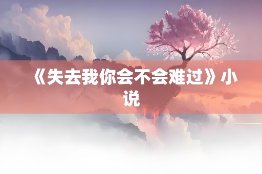 《失去我你会不会难过》小说