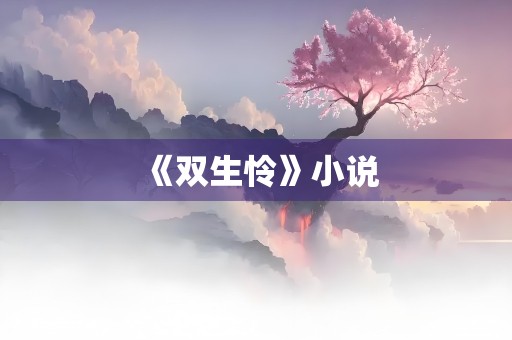 《双生怜》小说