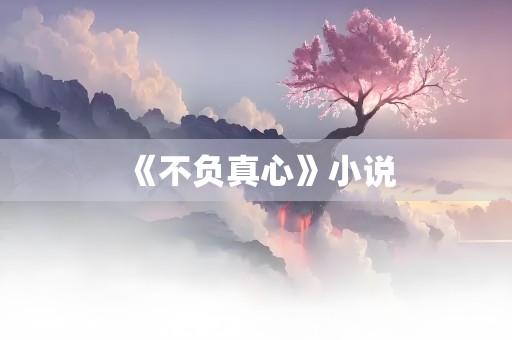 《不负真心》小说