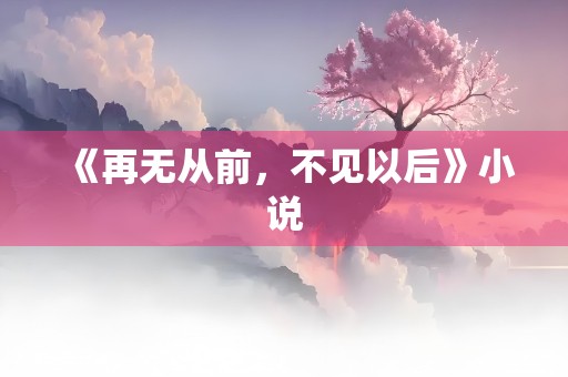 《再无从前，不见以后》小说