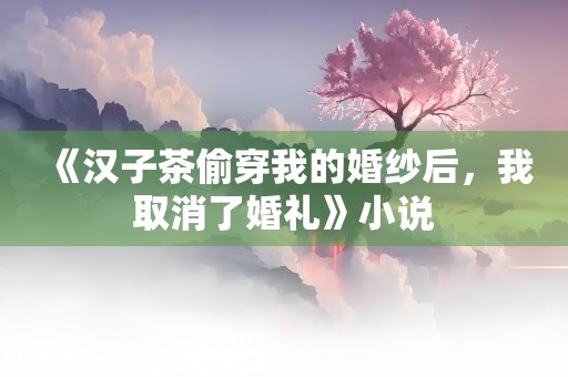 《汉子茶偷穿我的婚纱后，我取消了婚礼》小说