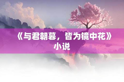 《与君朝暮，皆为镜中花》小说