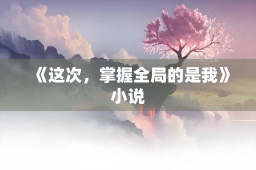 《这次，掌握全局的是我》小说