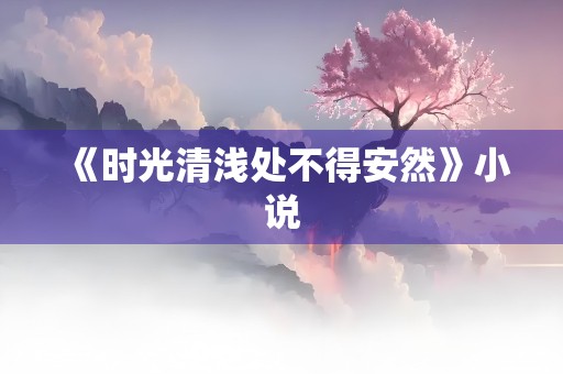 《时光清浅处不得安然》小说