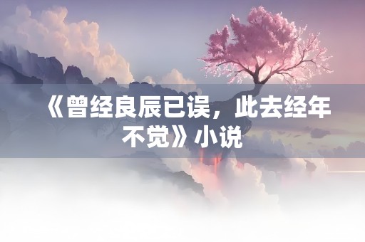 《曾经良辰已误，此去经年不觉》小说