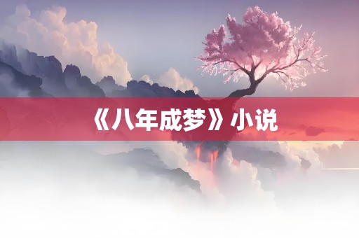 《八年成梦》小说