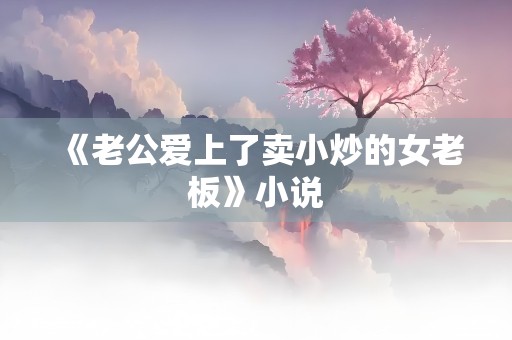 《老公爱上了卖小炒的女老板》小说