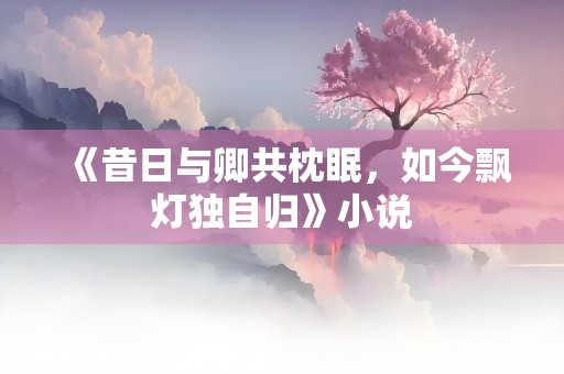 《昔日与卿共枕眠，如今飘灯独自归》小说