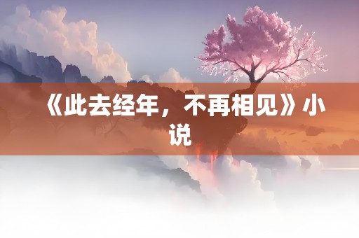 《此去经年，不再相见》小说