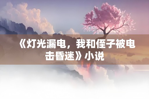 《灯光漏电，我和侄子被电击昏迷》小说