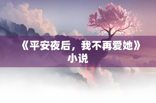 《平安夜后，我不再爱她》小说