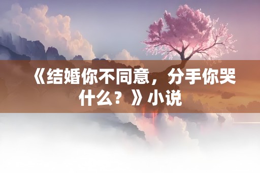 《结婚你不同意，分手你哭什么？》小说