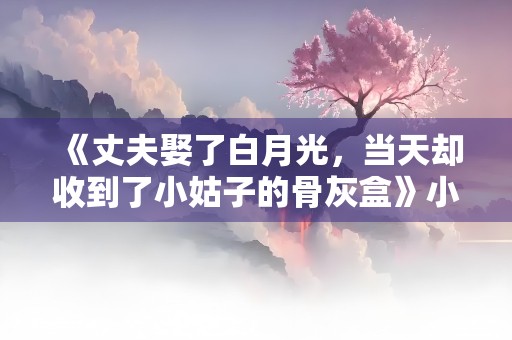 《丈夫娶了白月光，当天却收到了小姑子的骨灰盒》小说