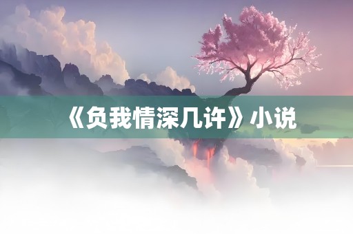 《负我情深几许》小说