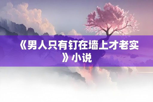 《男人只有钉在墙上才老实》小说