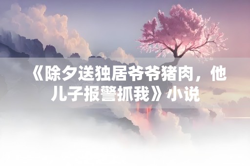 《除夕送独居爷爷猪肉，他儿子报警抓我》小说