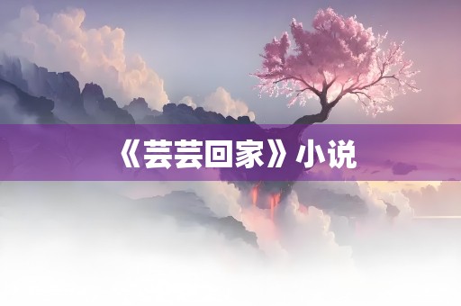 《芸芸回家》小说