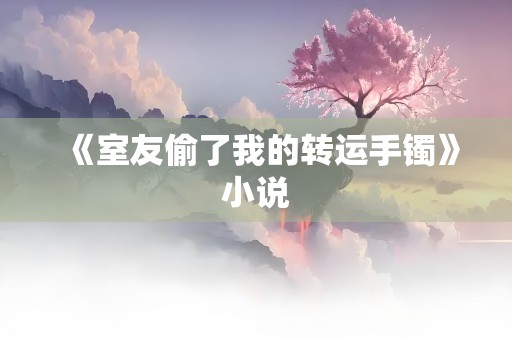 《室友偷了我的转运手镯》小说