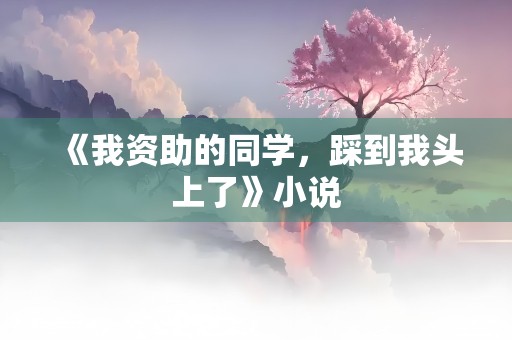 《我资助的同学，踩到我头上了》小说