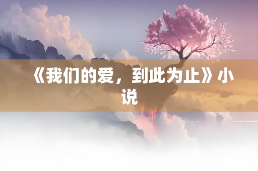 《我们的爱，到此为止》小说