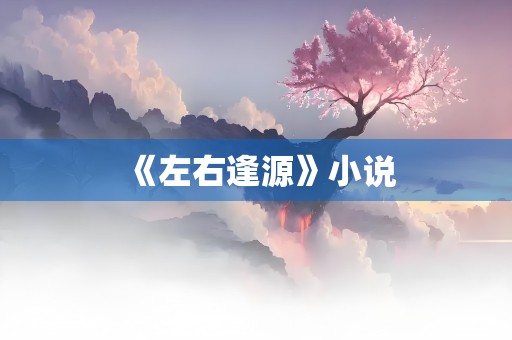 《左右逢源》小说