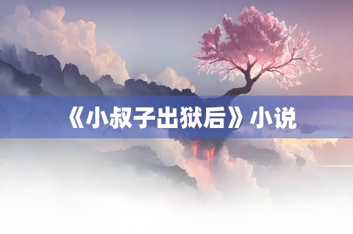 《小叔子出狱后》小说