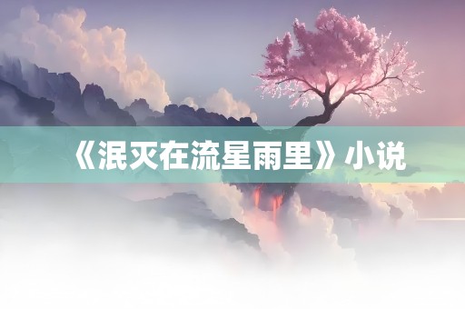 《泯灭在流星雨里》小说