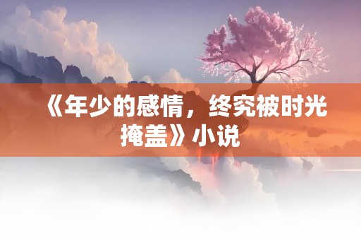 《年少的感情，终究被时光掩盖》小说