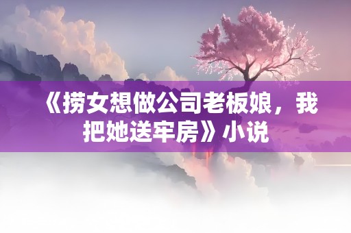 《捞女想做公司老板娘，我把她送牢房》小说