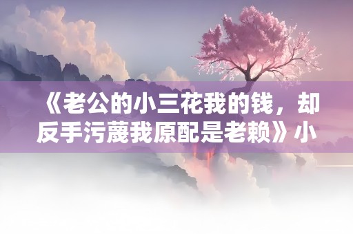 《老公的小三花我的钱，却反手污蔑我原配是老赖》小说