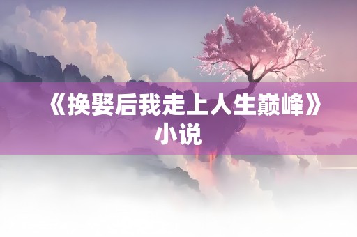 《换娶后我走上人生巅峰》小说