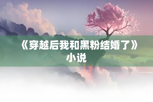 《穿越后我和黑粉结婚了》小说