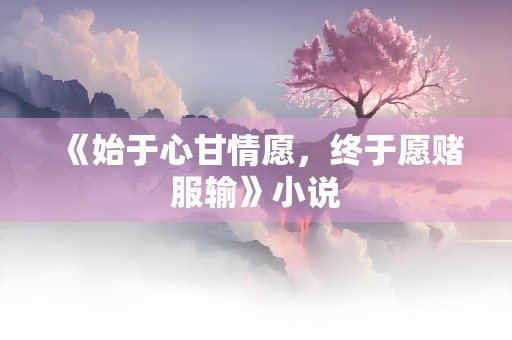 《始于心甘情愿，终于愿赌服输》小说