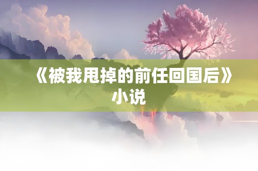 《被我甩掉的前任回国后》小说