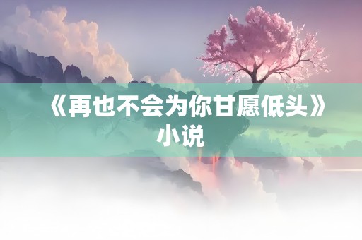 《再也不会为你甘愿低头》小说