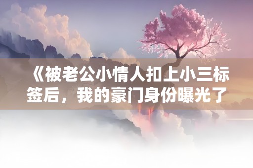 《被老公小情人扣上小三标签后，我的豪门身份曝光了》小说