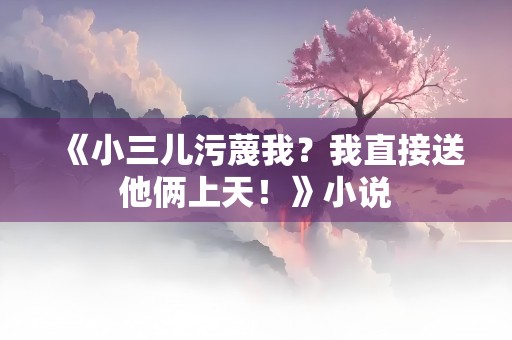 《小三儿污蔑我？我直接送他俩上天！》小说