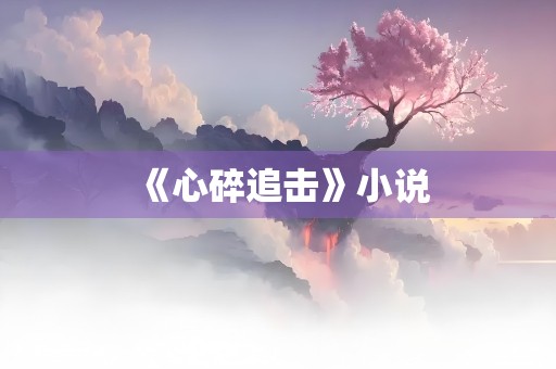 《心碎追击》小说