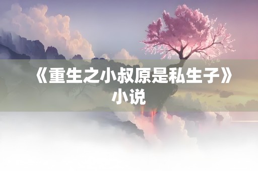 《重生之小叔原是私生子》小说