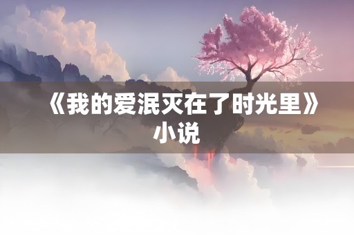 《我的爱泯灭在了时光里》小说