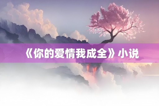 《你的爱情我成全》小说