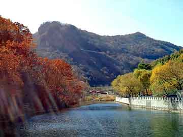 《笨蛋美人设计师闯祸后，推我出去背锅》小说