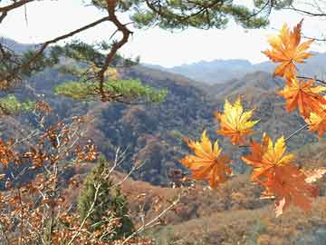 《难产那天，老公出国陪青梅》小说